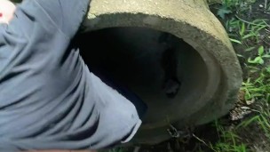 Creampie in the woods for step sis