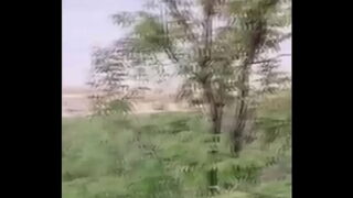 Asian teen girl fucked while walking in the jungle