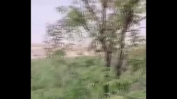 Asian teen girl fucked while walking in the jungle